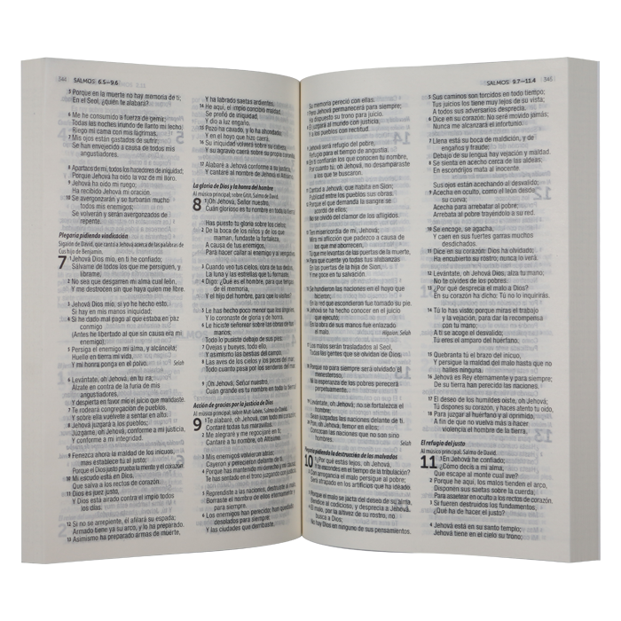 Biblia RVR1960 misionera rústica paloma RVR.60ue 9pt - Image 2