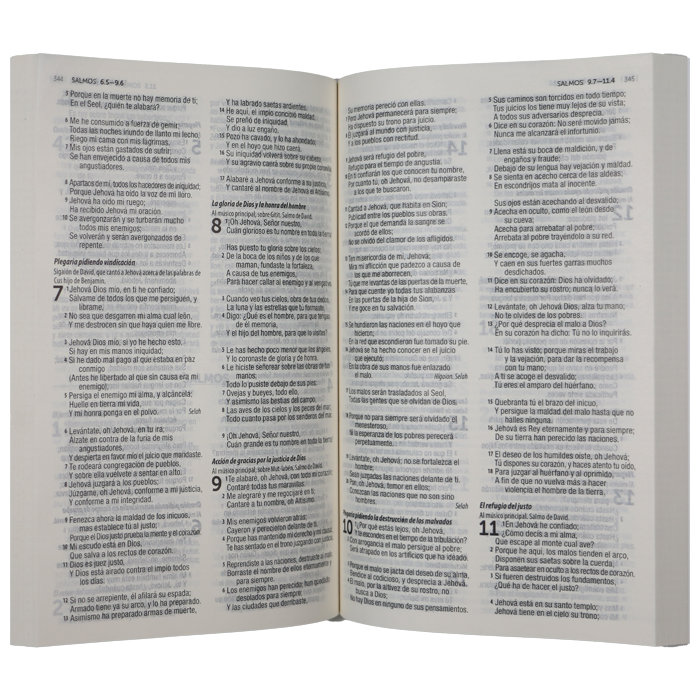 Biblia RVR1960 misionera rústica rombos RVR.60ue 9pt - Image 3