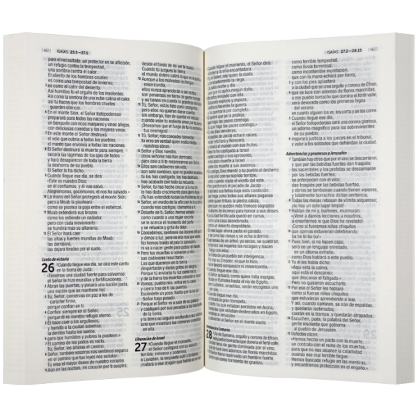 Biblia DHH misionera rústica olas DHH.60ue 9pt - Image 3