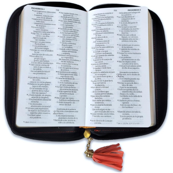 Biblia RVR1960 horizonte chequera coral gris im piel cierre AG 8pt PJR - Image 5