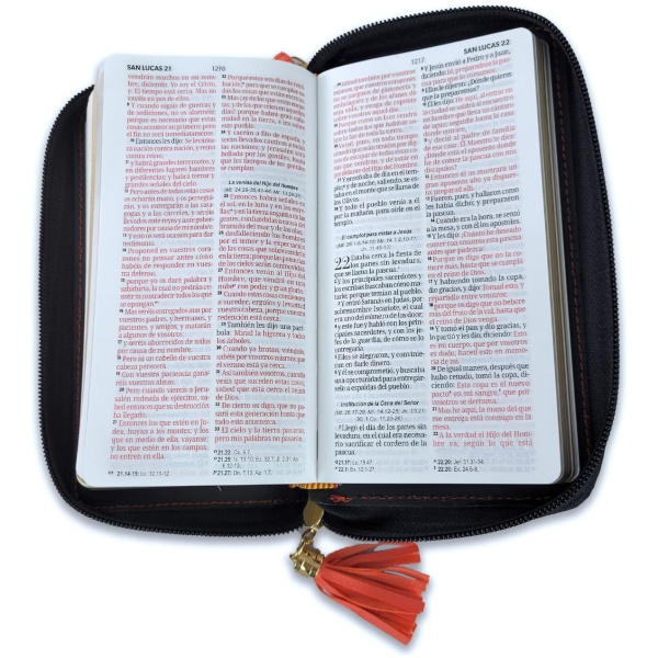 Biblia RVR1960 horizonte chequera coral gris im piel cierre AG 8pt PJR - Image 2