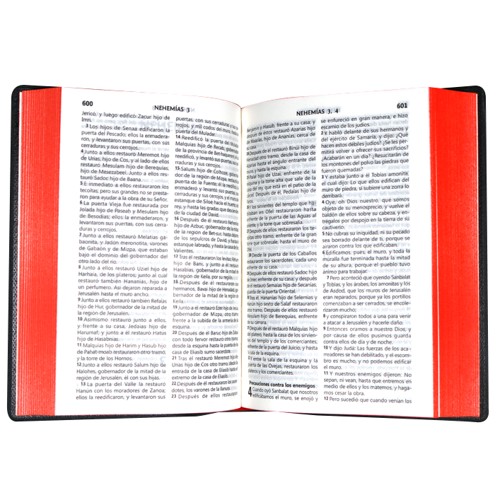 Biblia RVR1960 chica vinil vino RVR042cLG