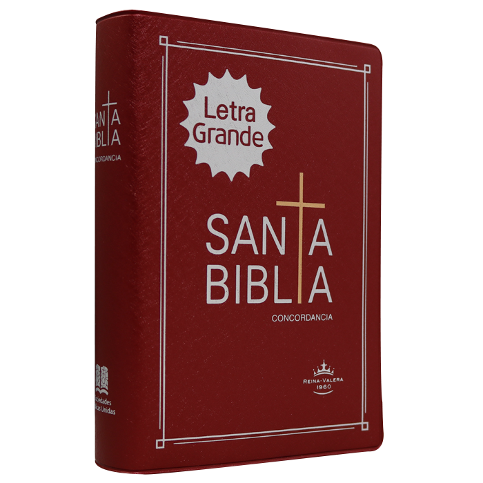 Biblia RVR1960 chica vinil vino RVR042cLG