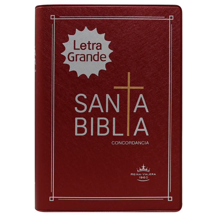 Biblia RVR1960 chica vinil vino RVR042cLG