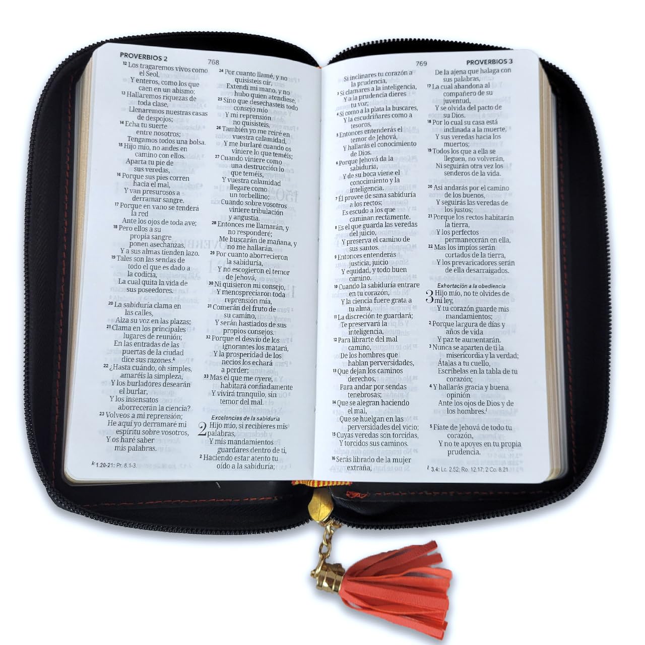 Biblia RVR1960 horizonte chequera coral gris im piel cierre AG 8pt PJR