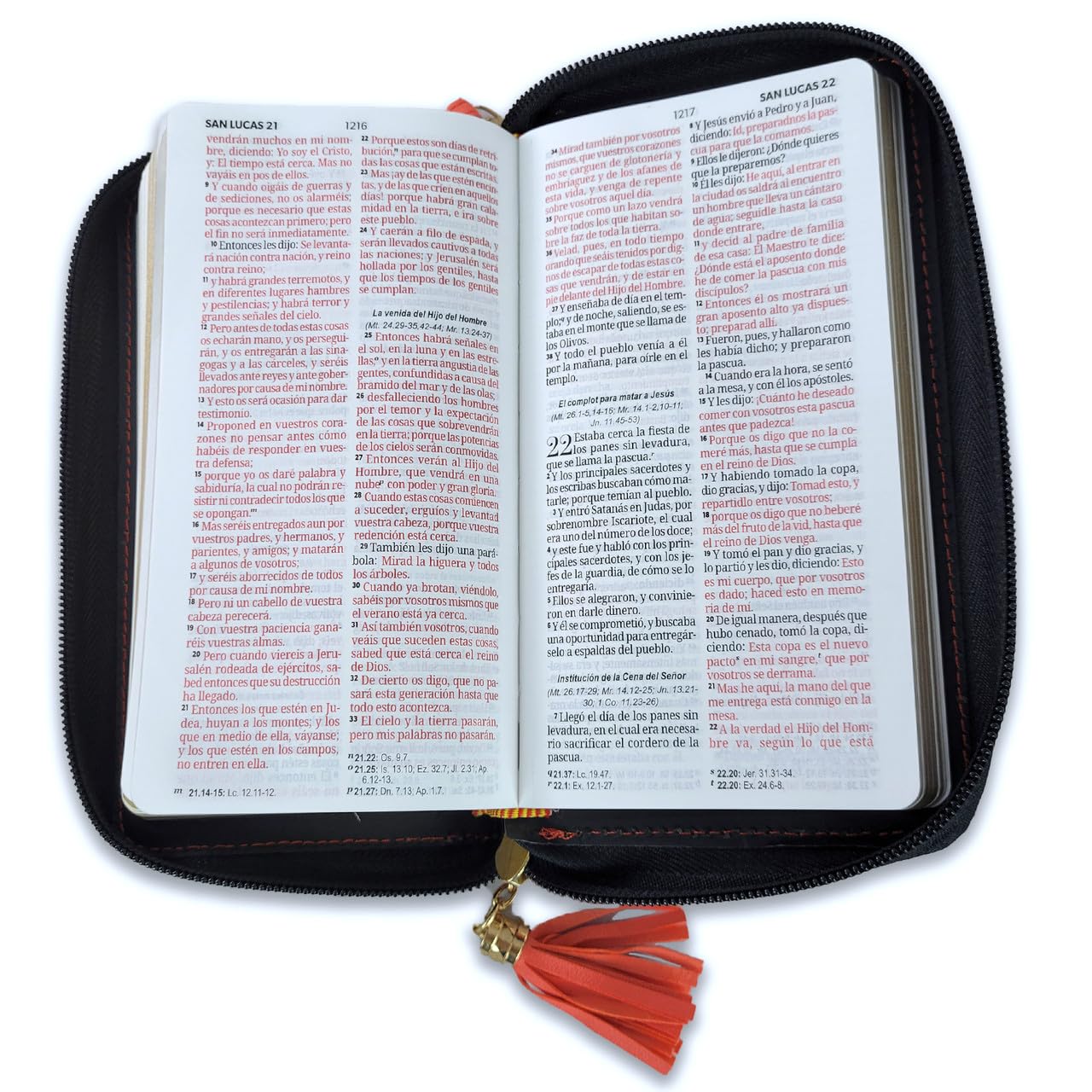 Biblia RVR1960 horizonte chequera coral gris im piel cierre AG 8pt PJR