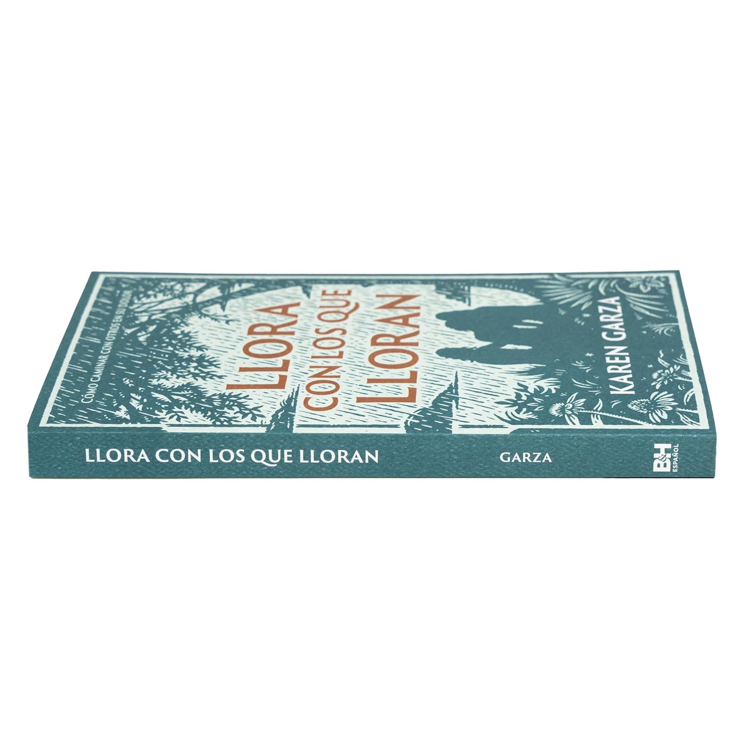Llora con los que lloran