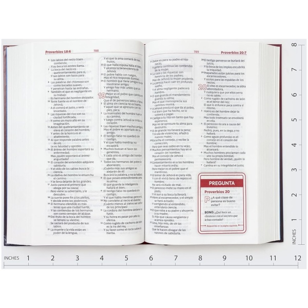 Biblia RVR1960 Estudio para Jóvenes tapa dura 9.5pt - Image 5
