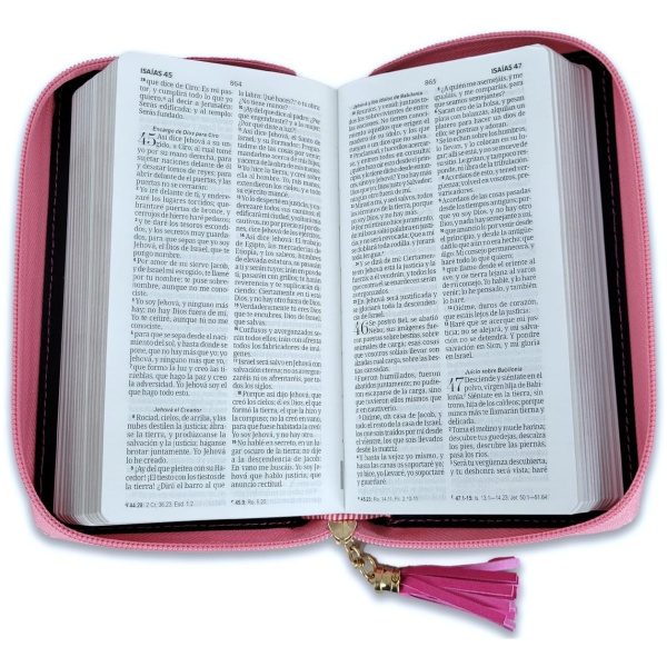 Biblia RVR1960 horizonte chequera fucsia rosa im piel cierre 8pt PJR - Image 4