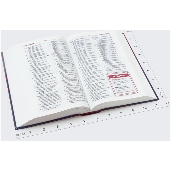Biblia RVR1960 Estudio para Jóvenes tapa dura 9.5pt - Image 6