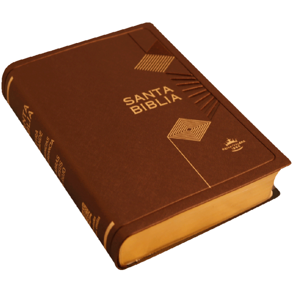 Biblia RVR1960 chica vinil azul MDM RVR042cLGPJR 9pt - Image 2