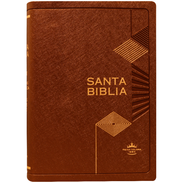 Biblia RVR1960 chica vinil azul MDM RVR042cLGPJR 9pt