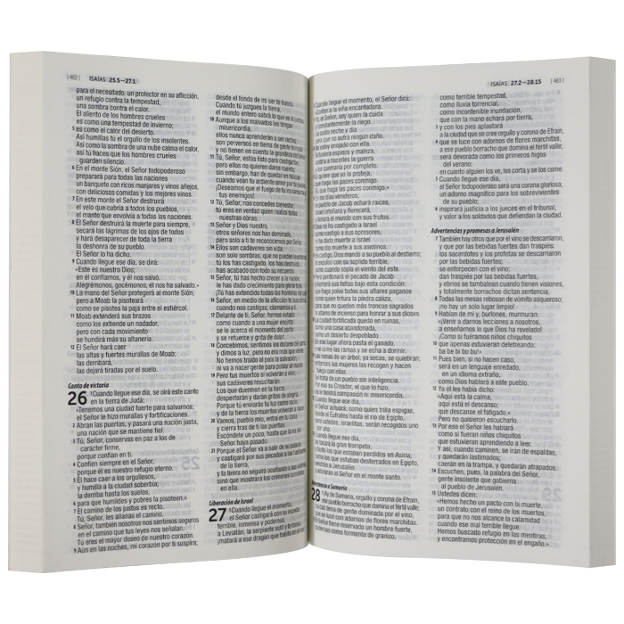 Biblia DHH misionera rústica flores rosas DHH.60ue 9pt