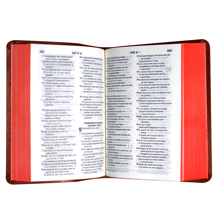 Biblia RVR1960 chica imit p cafe DRG RVR045cLG 9pt