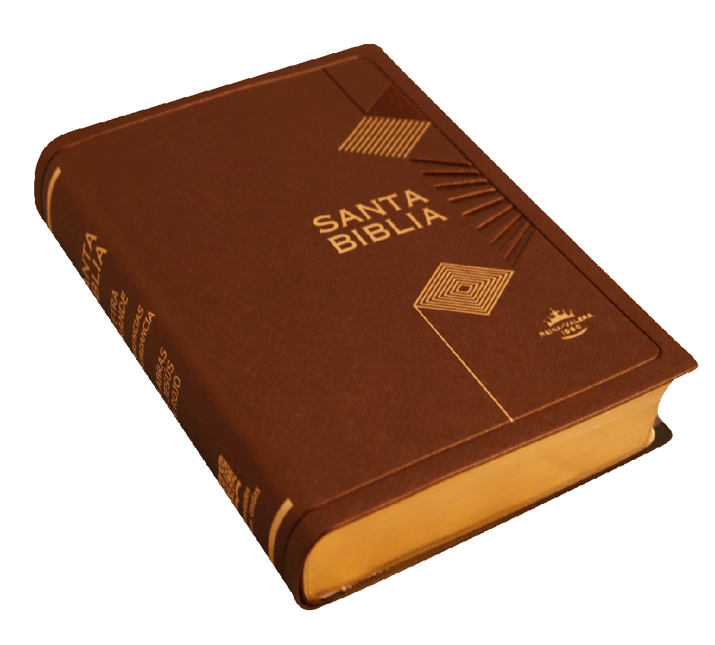 Biblia RVR1960 chica vinil azul MDM RVR042cLGPJR 9pt