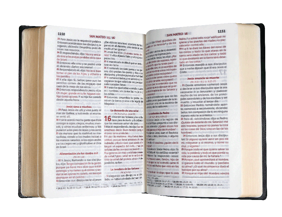 Biblia RVR1960 chica vinil azul MDM RVR042cLGPJR 9pt