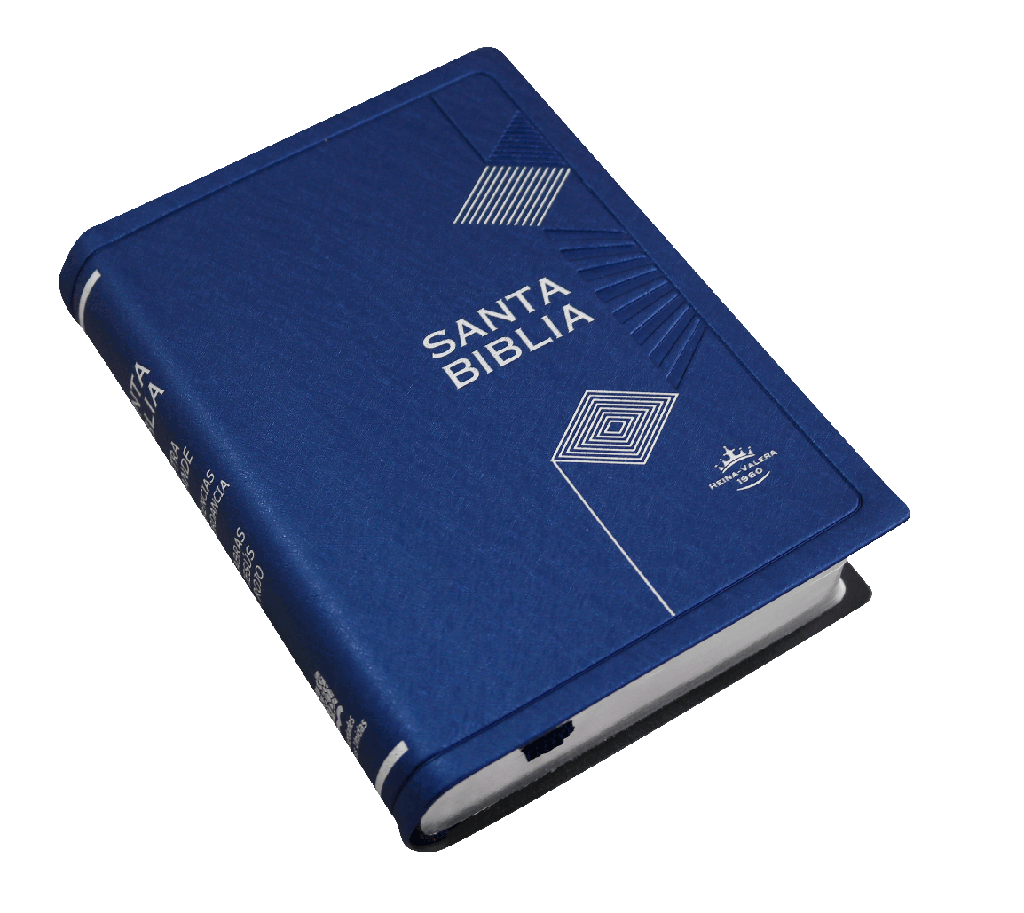 Biblia RVR1960 chica vinil azul MDM RVR042cLGPJR 9pt