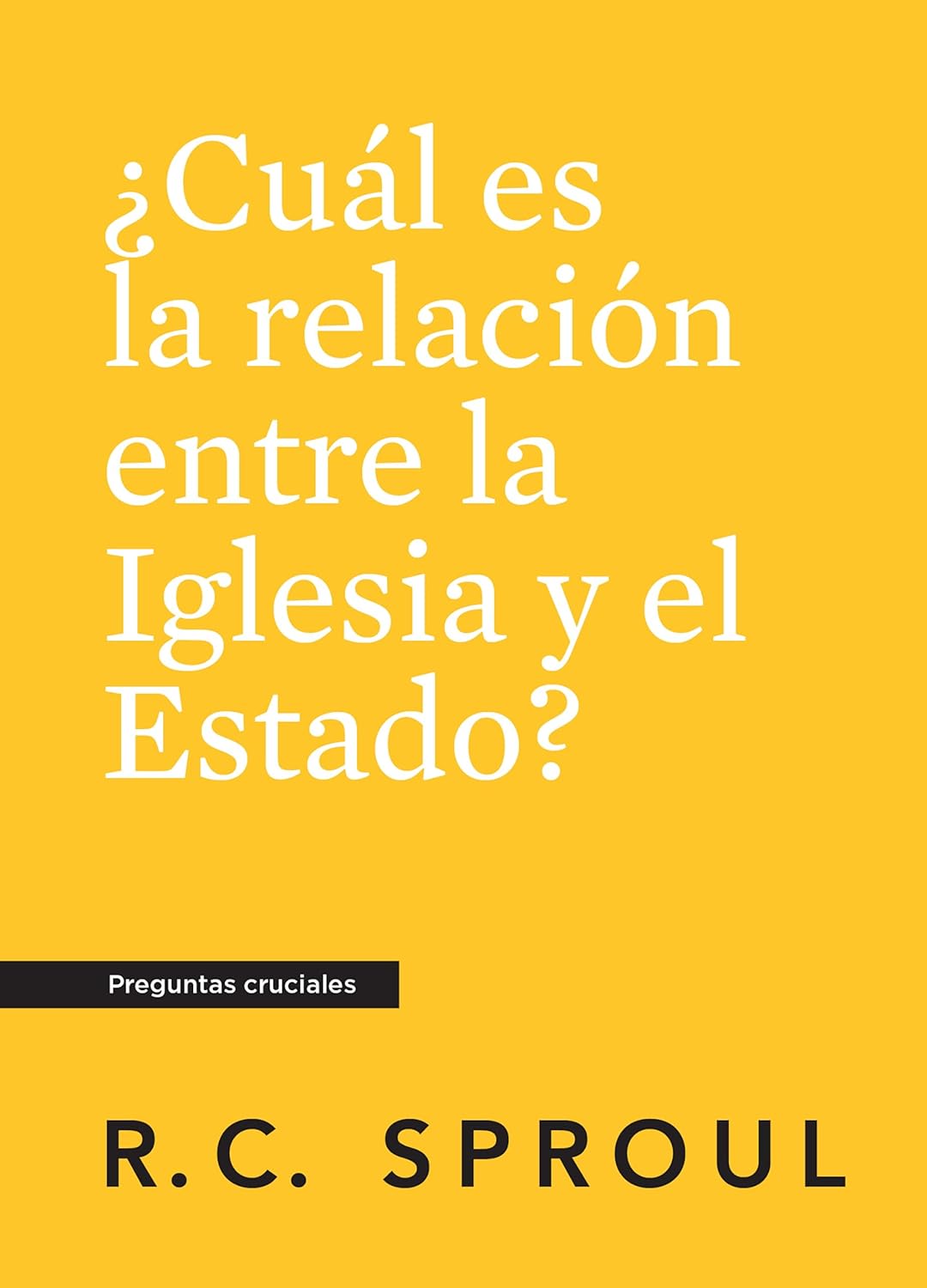 ¿Cuál es la relación entre la Iglesia y el Estado?, Preguntas cruciales