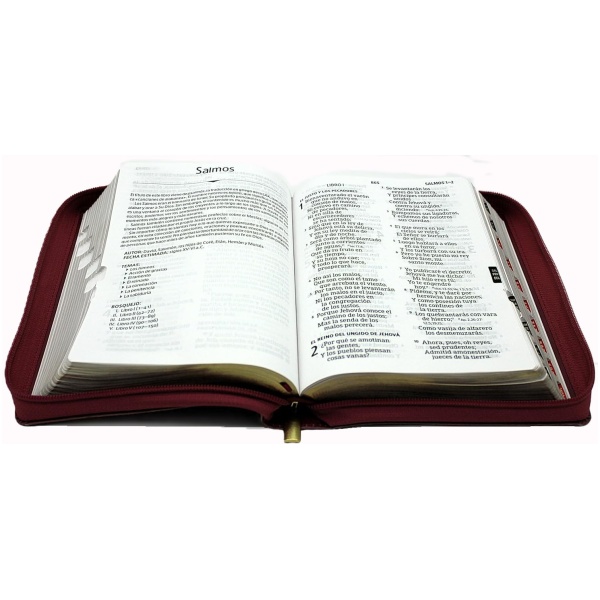 Biblia RVR1960 Limitada granada im piel índice cierre manual 14pt - Image 6