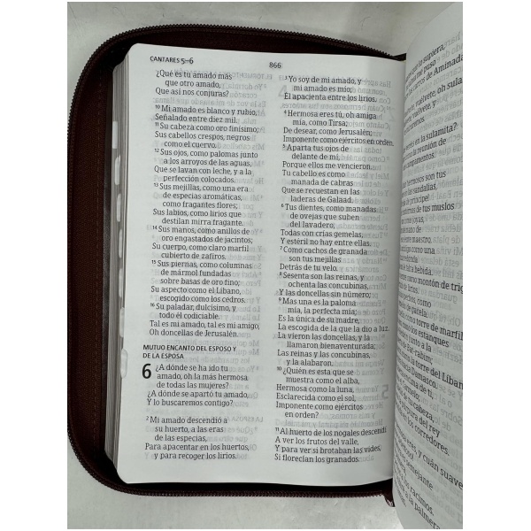 Biblia RVR1960 letra grande ed lim marron im piel índice cierre manual 12pt - Image 4