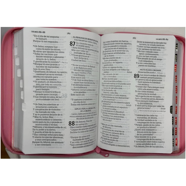 Biblia RVR1960 letra grande ed lim acuarela im piel índice cierre manual 12pt - Image 5