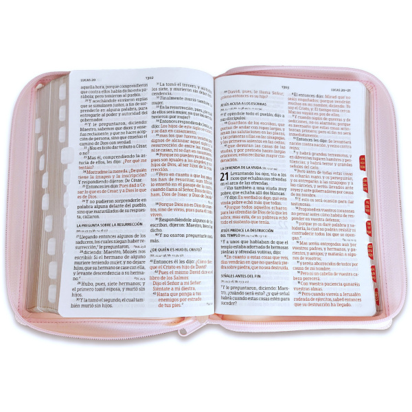 Biblia RVR1960 letra grande ed lim durazno im piel índice cierre manual 12pt - Image 4