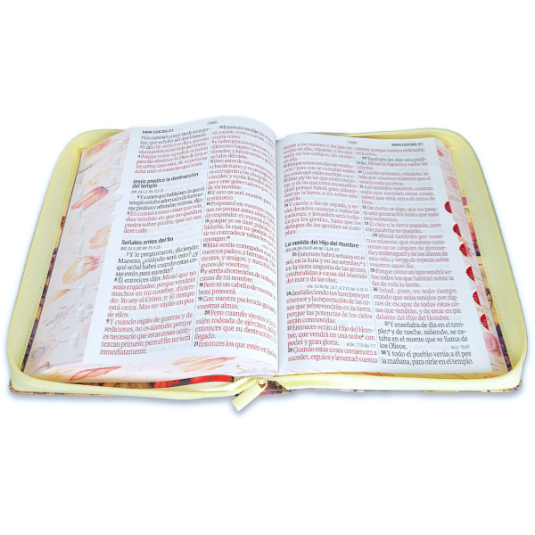 Biblia RVR1960 Jardin sup gig vintage im piel cierre índice 19pt - Image 3