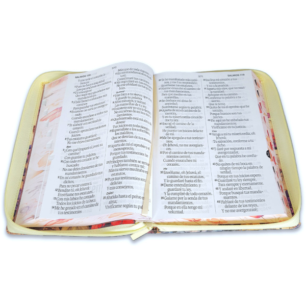 Biblia RVR1960 Jardin sup gig vintage im piel cierre índice 19pt - Image 4
