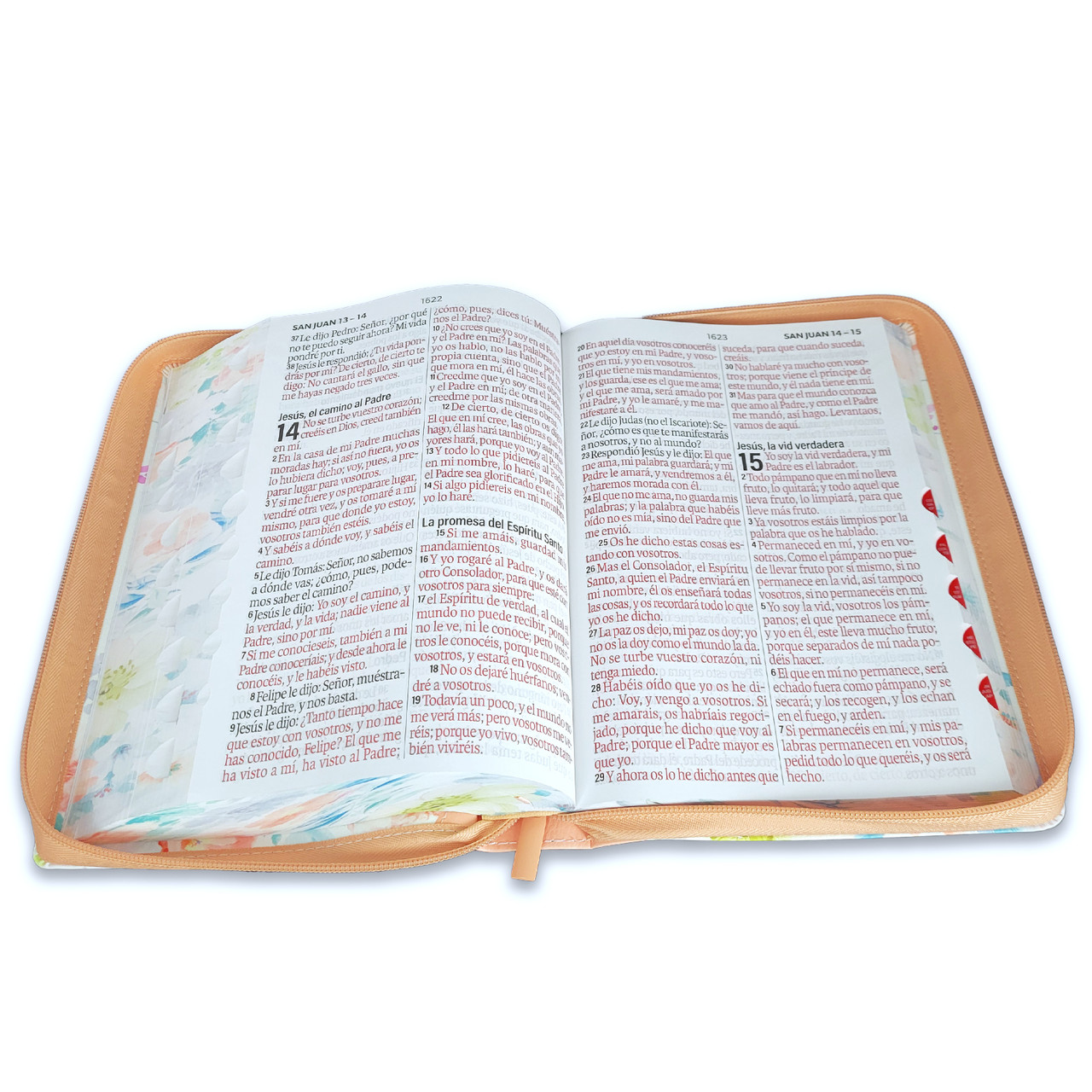 Biblia RVR1960 Jardin sup gig coralim piel cierre índice 19pt