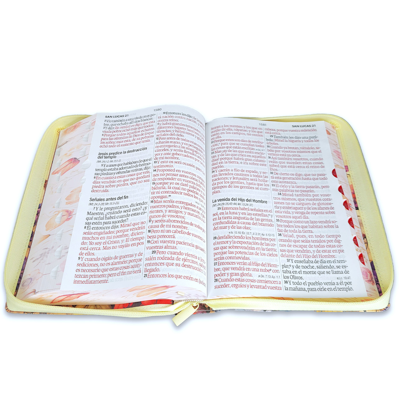 Biblia RVR1960 Jardin sup gig vintage im piel cierre índice 19pt