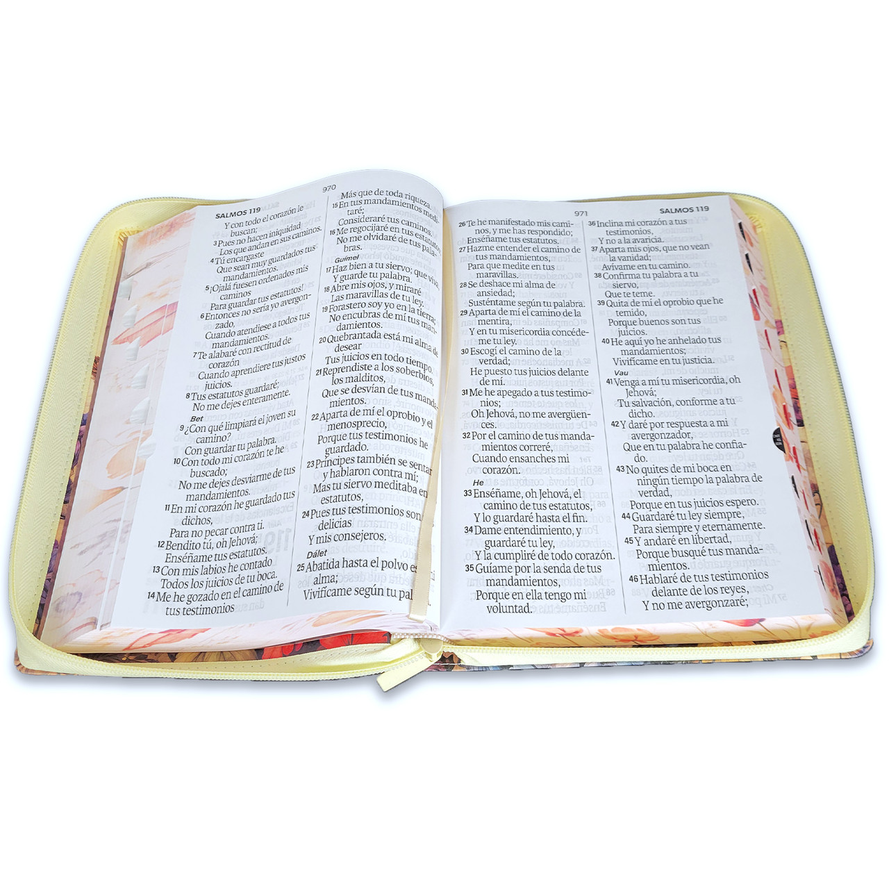 Biblia RVR1960 Jardin sup gig vintage im piel cierre índice 19pt