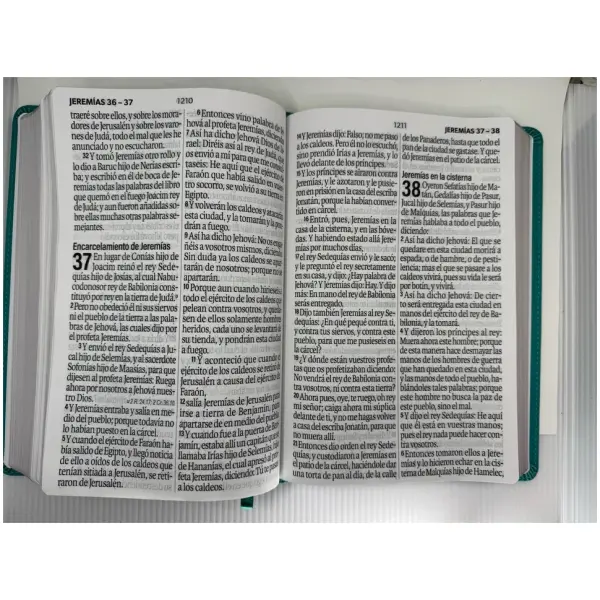 Biblia RVR1960 Éfeso sup gig turquesa floral im piel 19pt - Image 4