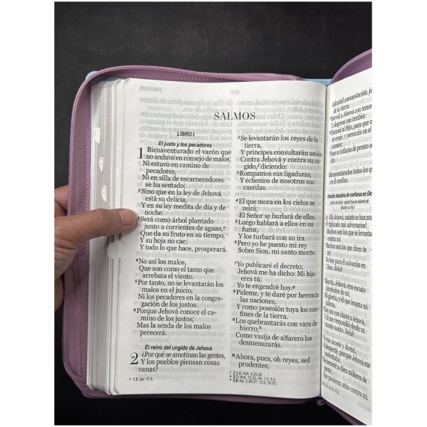 Biblia RVR1960 Tricolor sg azul rosa lila im piel cierre índice 19pt - Image 5