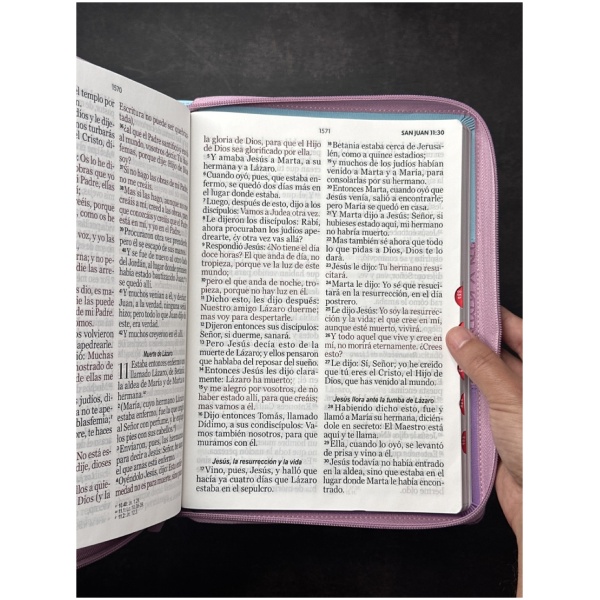 Biblia RVR1960 Tricolor sg azul rosa lila im piel cierre índice 19pt - Image 6
