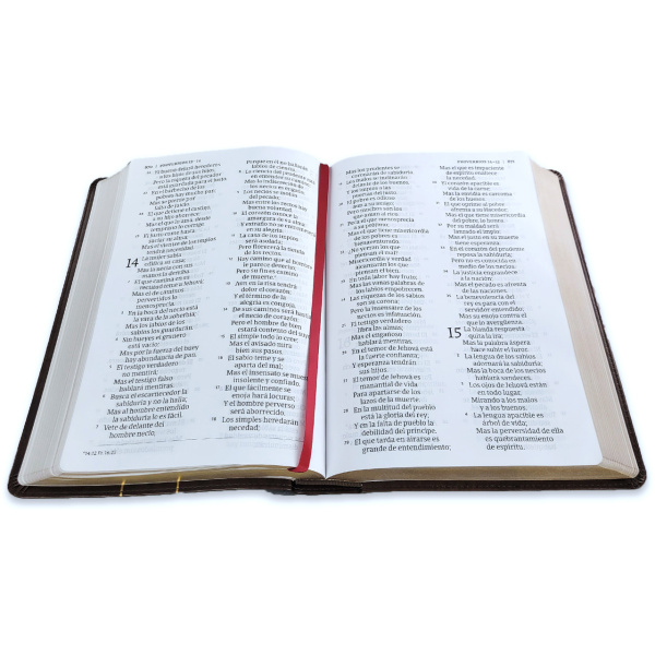 Biblia RVR1960 de credos y confesiones cafe tapa dura 14pt - Image 2