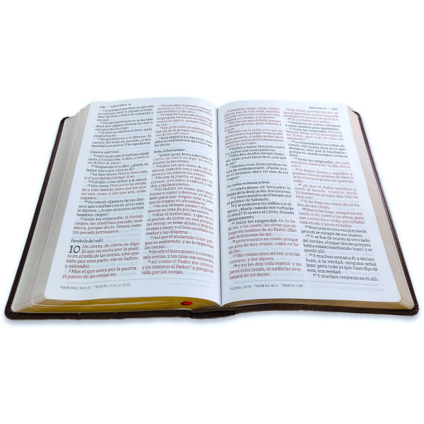 Biblia RVR1960 de credos y confesiones cafe tapa dura 14pt - Image 3