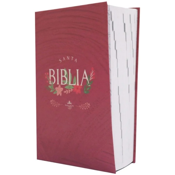Biblia RVR1960 mediana lt grande rosa QR 12pt RVR062LGPJR
