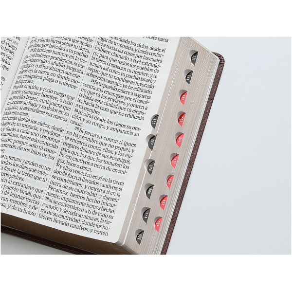 Biblia RVR1960 Efeso sup gig cafe GEO im piel índice 19pt - Image 2