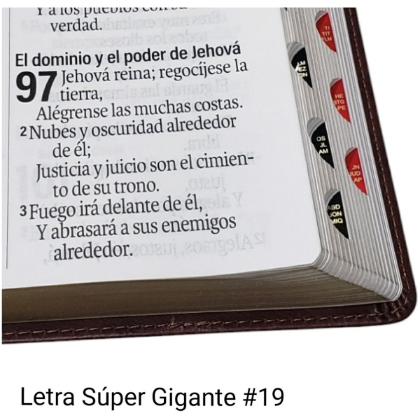 Biblia RVR1960 Efeso sup gig cafe GEO im piel índice 19pt - Image 6