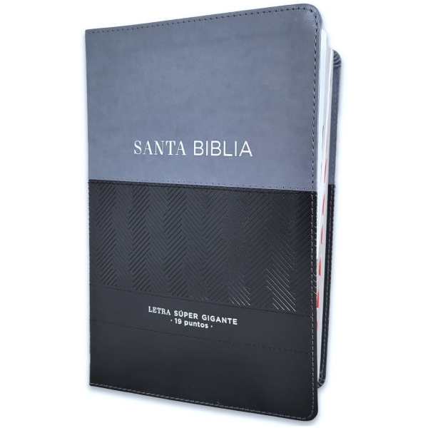 Biblia RVR1960 Efeso sup gig gris/negro GEO im piel índice 19pt