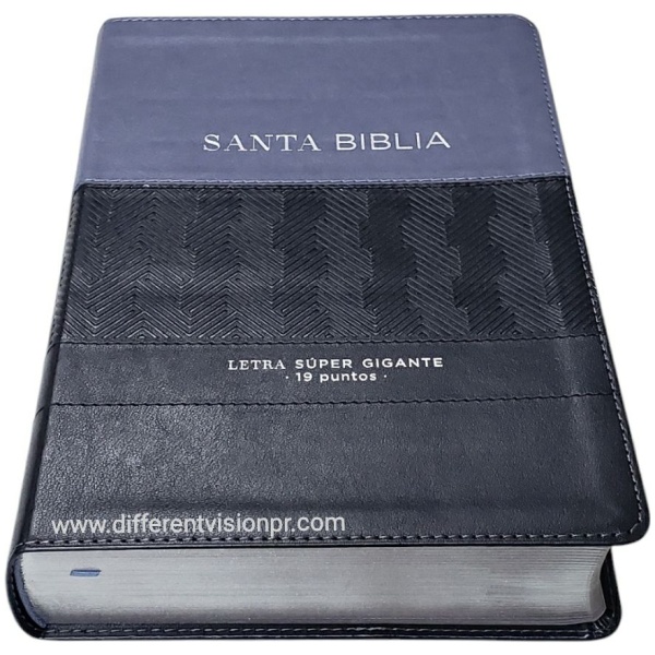 Biblia RVR1960 Efeso sup gig gris/negro GEO im piel índice 19pt - Image 2