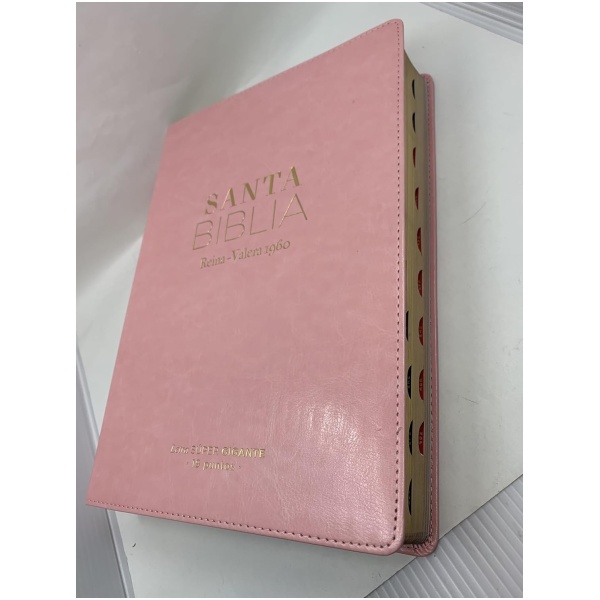 Biblia RVR1960 Clasica sup gig rosa im piel índice 19pt - Image 6