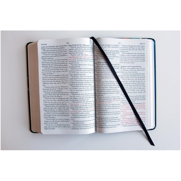Biblia KJV letra grande Leon de Juda multicolor tapa dura 12pt - Image 5
