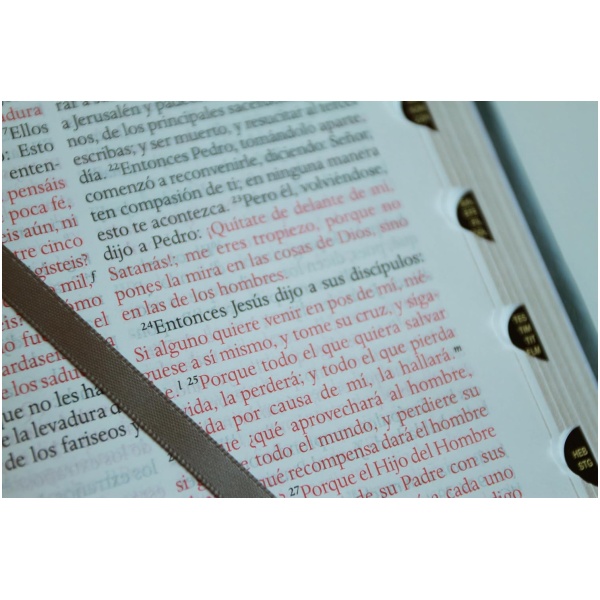 Biblia RVR1960 letra grande gris im piel índice 10.5pt - Image 6