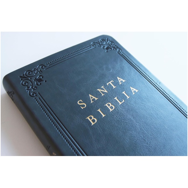 Biblia RVR1960 letra grande gris im piel índice 10.5pt - Image 5