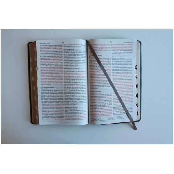 Biblia RVR1960 letra grande gris im piel índice 10.5pt - Image 2