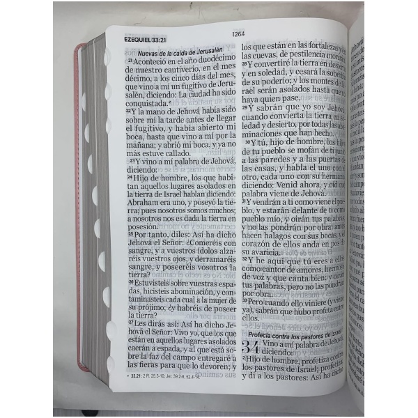 Biblia RVR1960 Clasica sup gig rosa im piel índice 19pt - Image 4