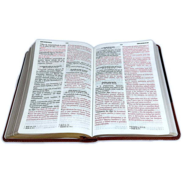 Biblia RVR1960 Clasica bitono marron/marr im piel 12.5pt 065PJR vs - Image 3