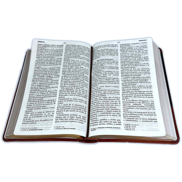 Biblia RVR1960 Clasica bitono marron/marr im piel 12.5pt 065PJR vs - Image 2