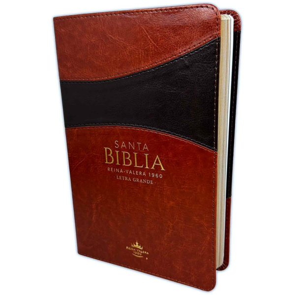 Biblia RVR1960 Clasica bitono marron/marr im piel 12.5pt 065PJR vs